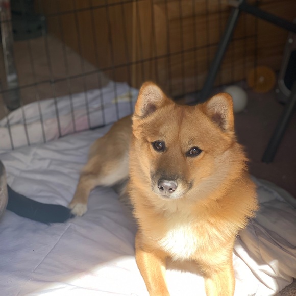 Meet your Posher, Alissa - Picture 6 of 16